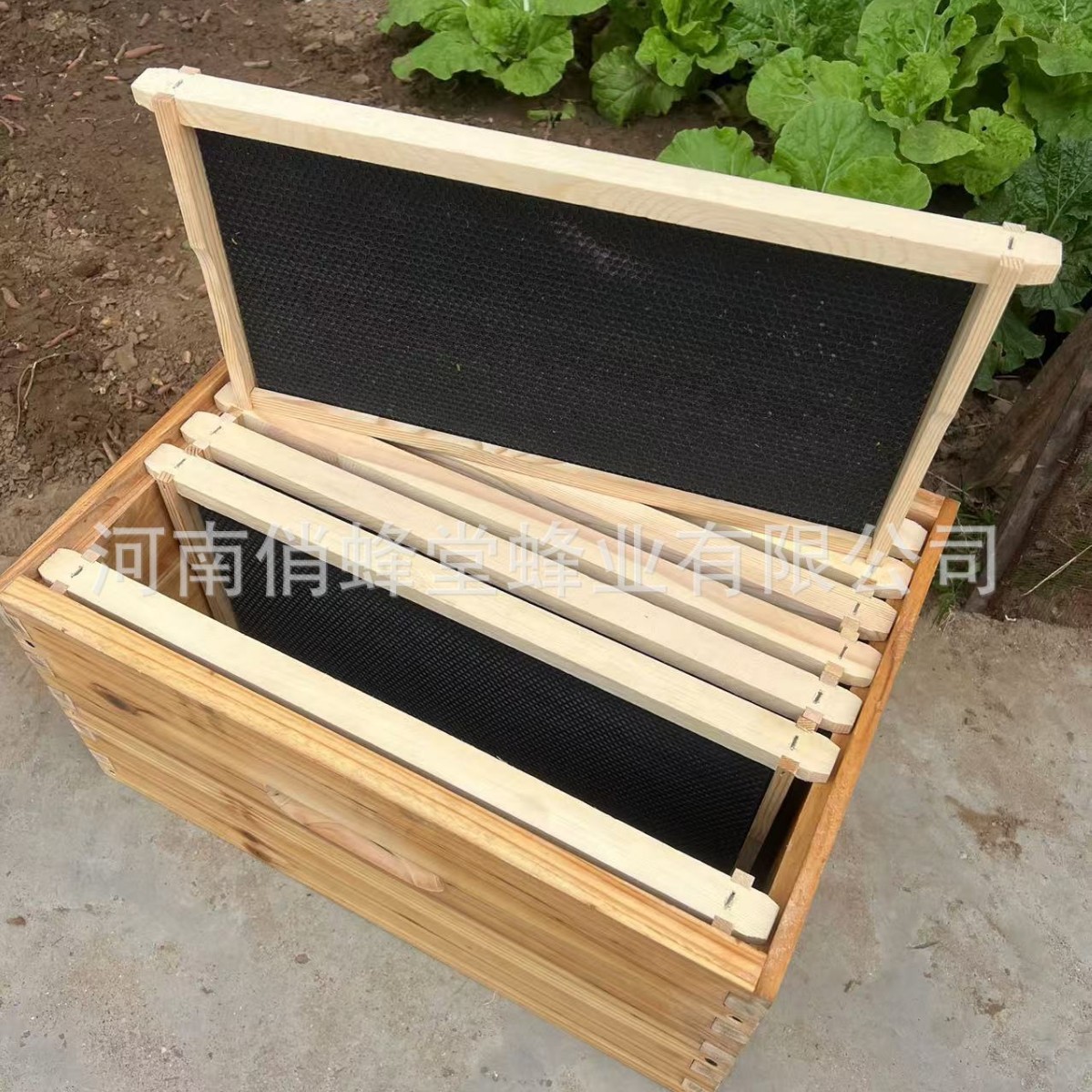 Beehive Frame Wax - Herramientas de Apicultura de Primera Calidad:
