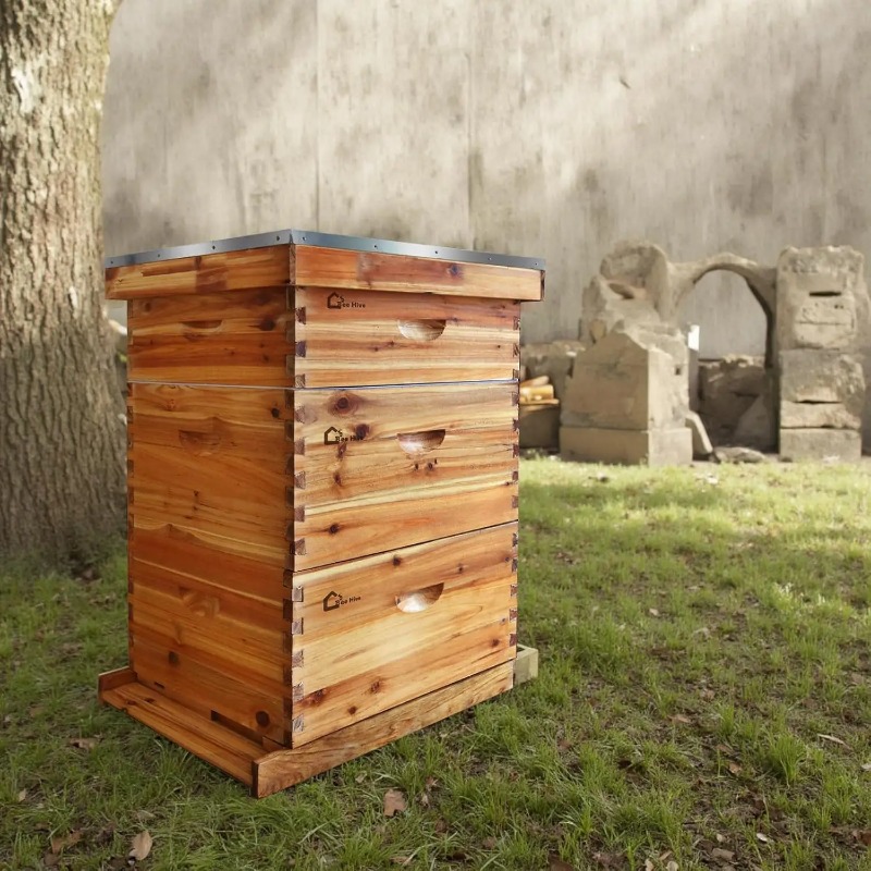 Kit completo de colmena de 10  - Beehive Frame Wax reseña y precio