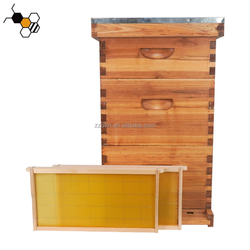 Kit de Colmena de Abejas de Al - Beehive Frame Wax reseña y precio