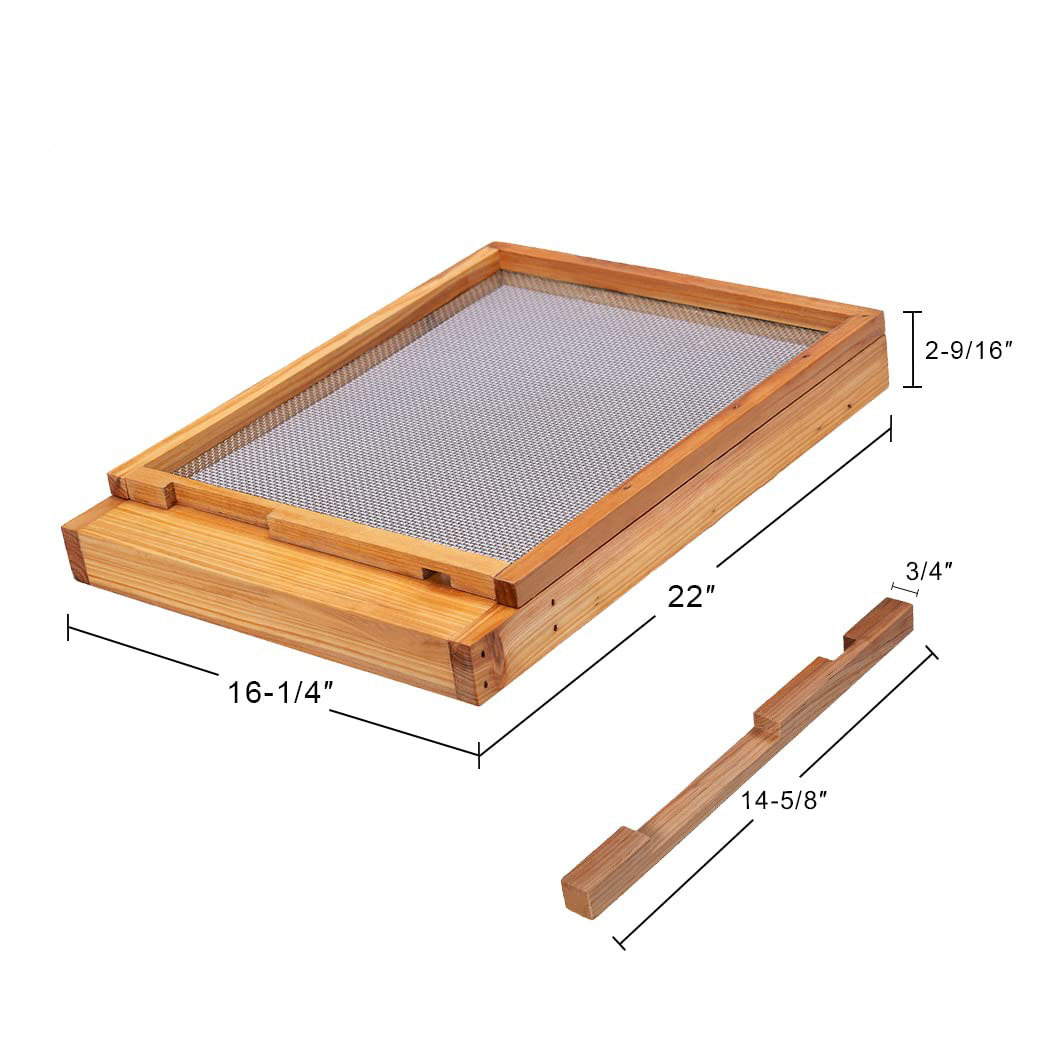 Colmena de diez cuadros con fo - Beehive Frame Wax reseña y precio