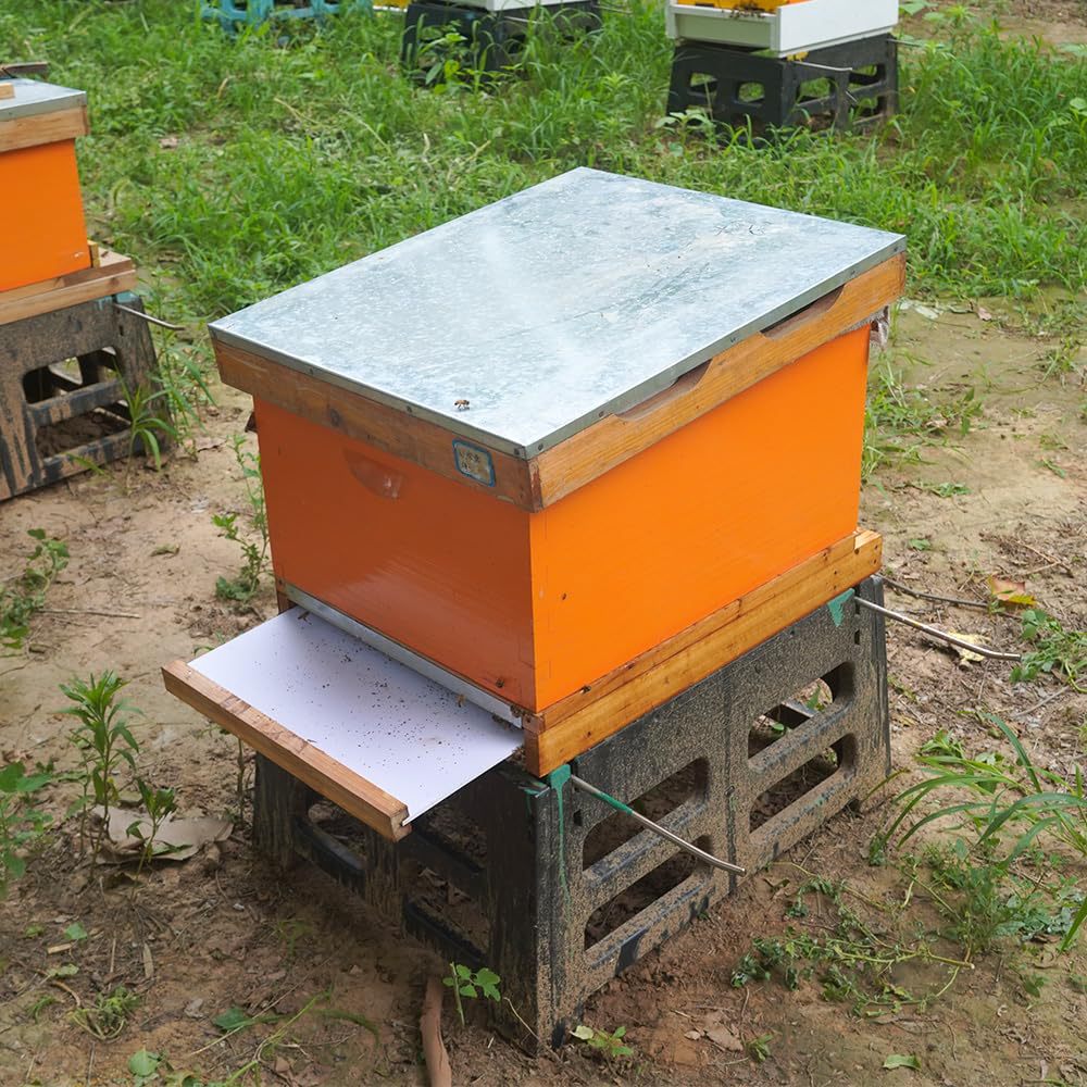 Colmena de diez cuadros con fo - Beehive Frame Wax reseña y precio