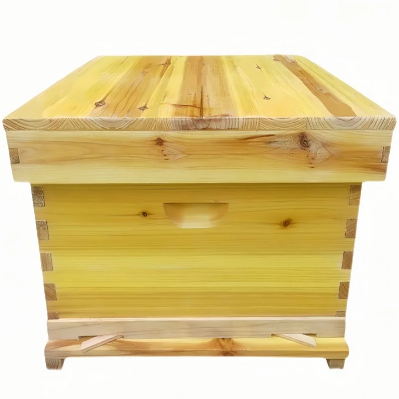 Colmena de abejas en caja de a - Beehive Frame Wax reseña y precio